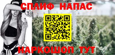 mdpv Гусиноозёрск