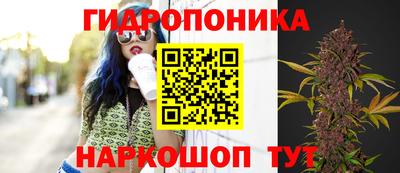 ешки Гусев