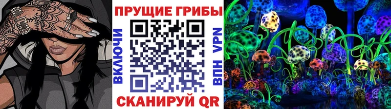 Псилоцибиновые грибы Magic Shrooms  где купить наркотик  Михайловск 