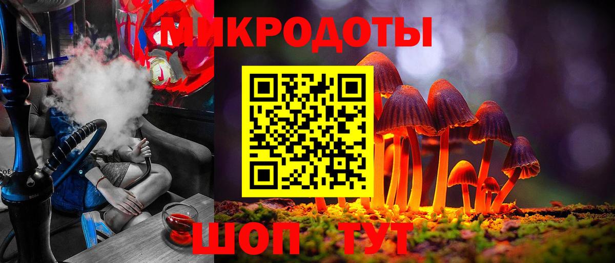 Михайловск  Галлюциногенные грибы Psilocybe  Вход с VPN 