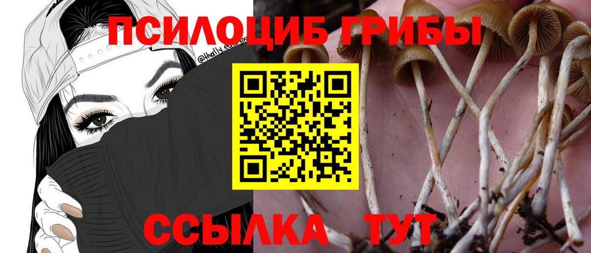 Галлюциногенные грибы мухоморы Михайловск