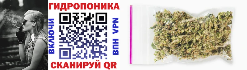 маркетплейс состав  blacksprut ONION  Михайловск  Шишки марихуана SATIVA & INDICA 